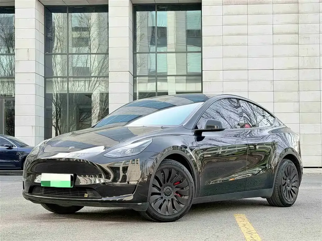 Tesla Model Y 2021 из CN, фото 1