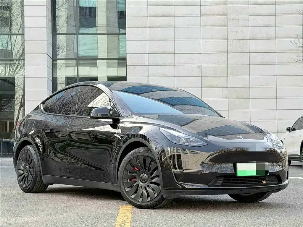 Tesla Model Y 2021 из CN, фото 3