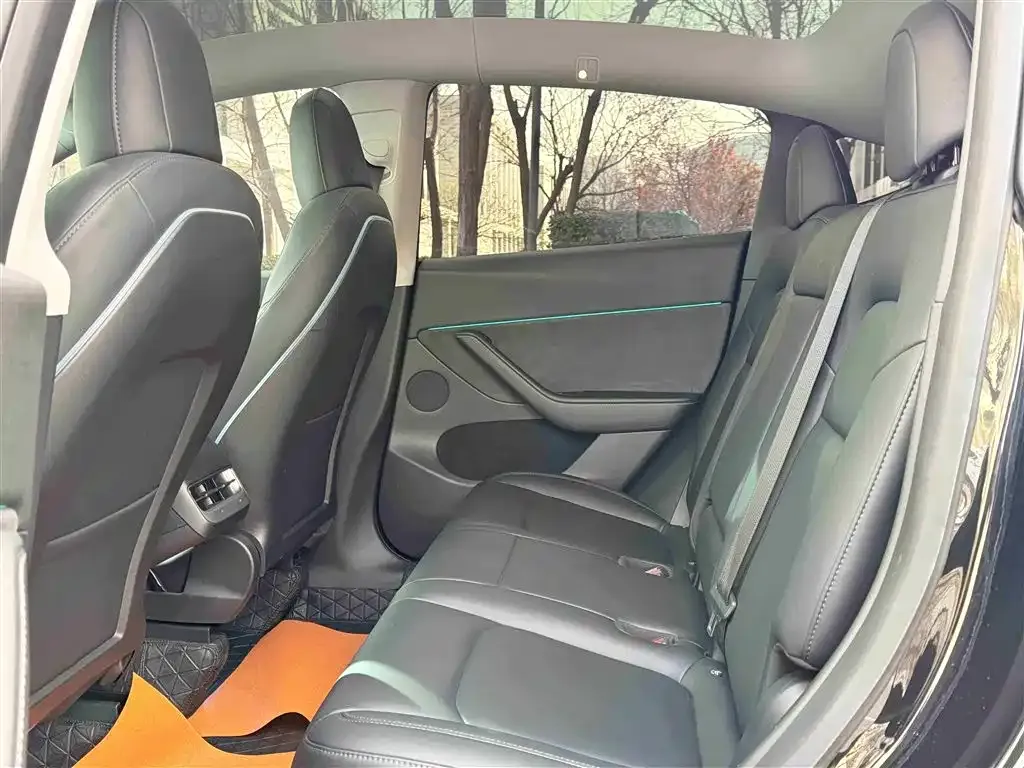 Tesla Model Y 2021 из CN, фото 6