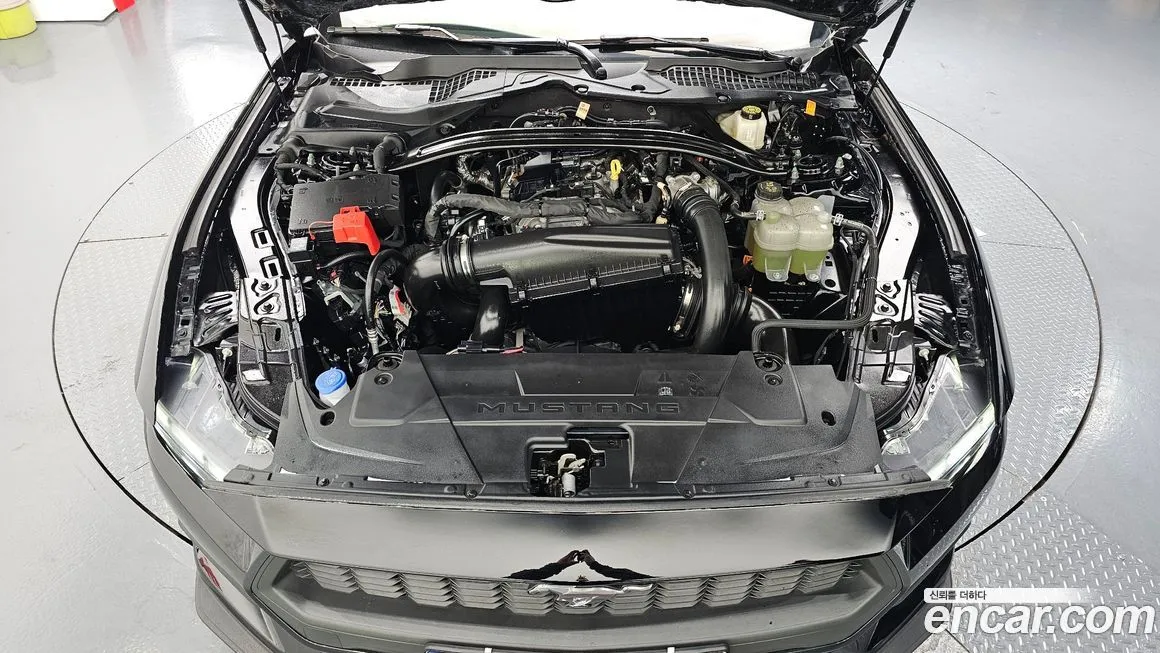 Ford Mustang 2024 из KR, фото 6