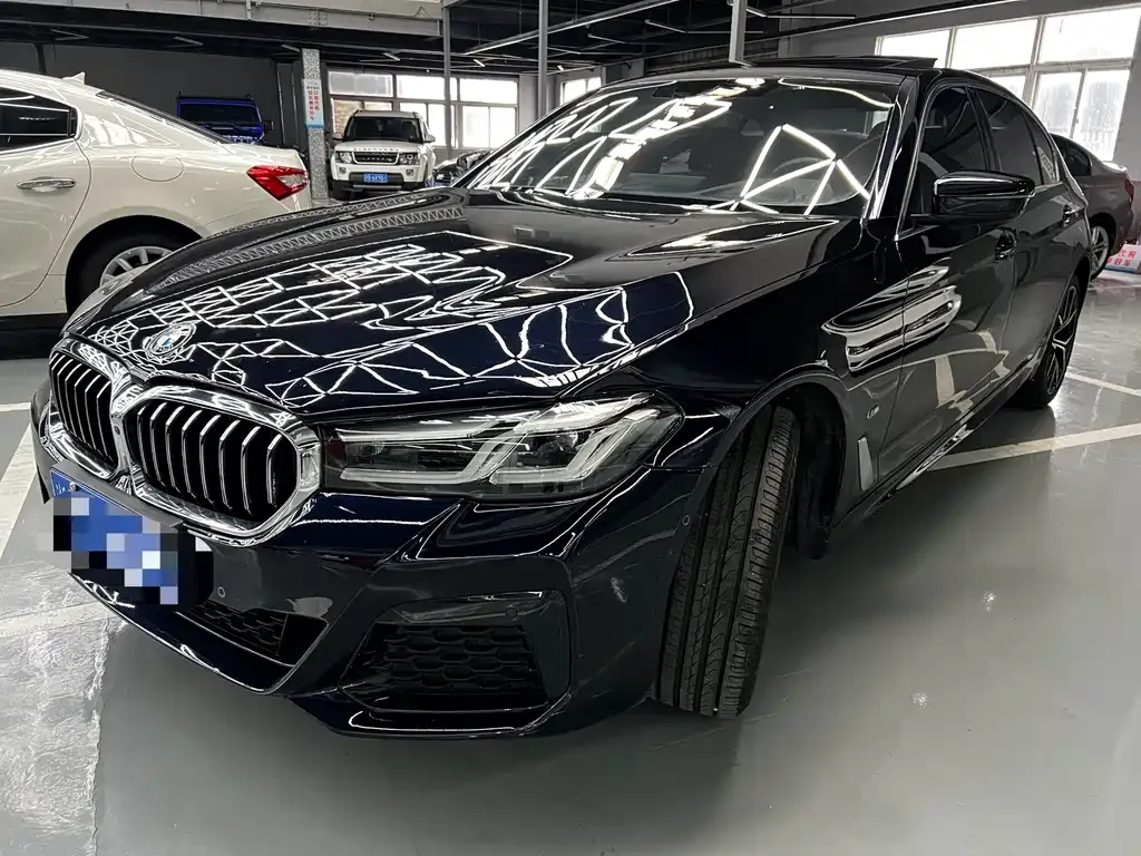 BMW 5 Series 2021 из CN, фото 1
