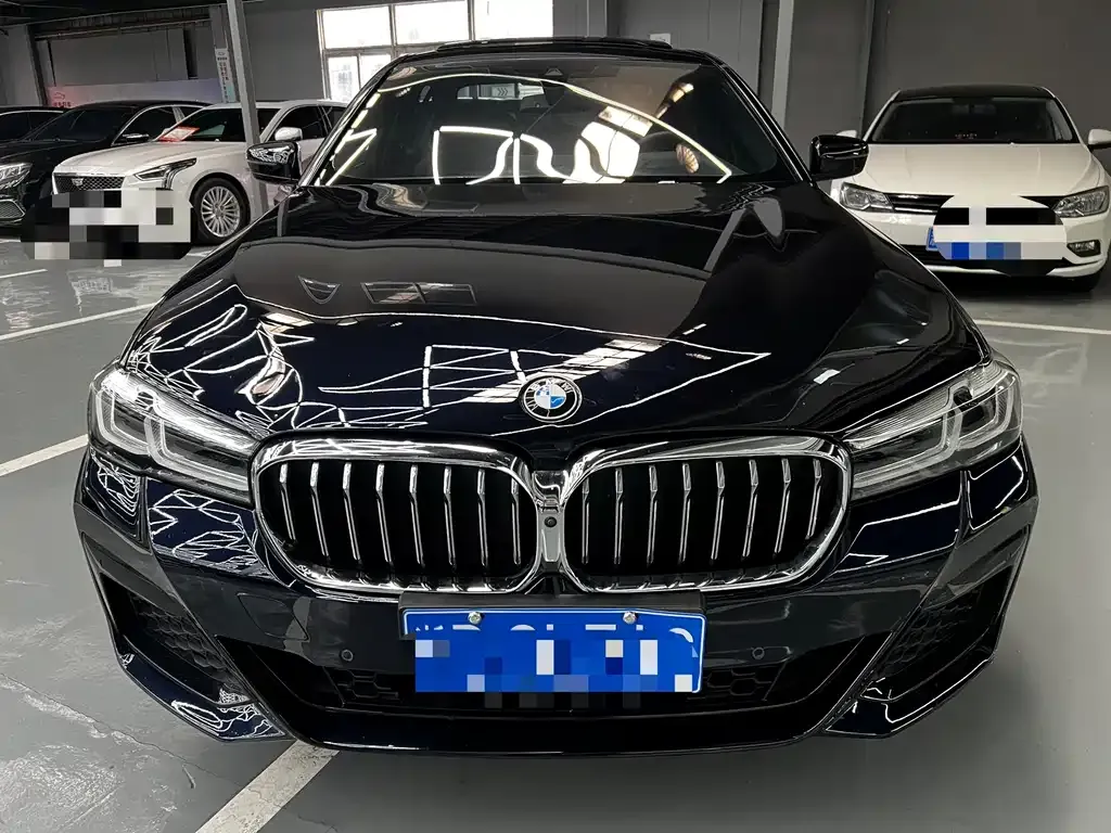 BMW 5 Series 2021 из CN, фото 2