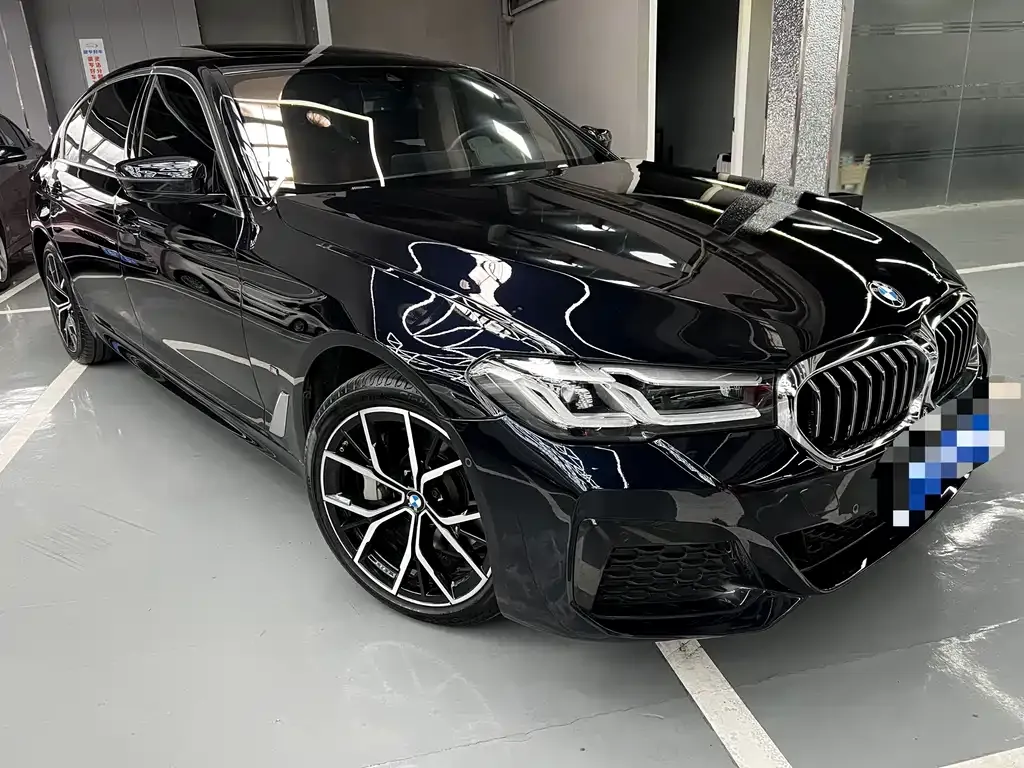 BMW 5 Series 2021 из CN, фото 3