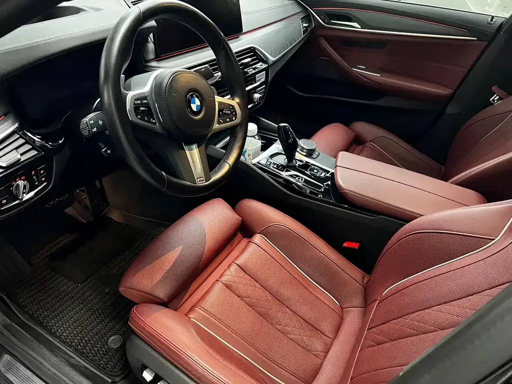 BMW 5 Series 2021 из CN, фото 6