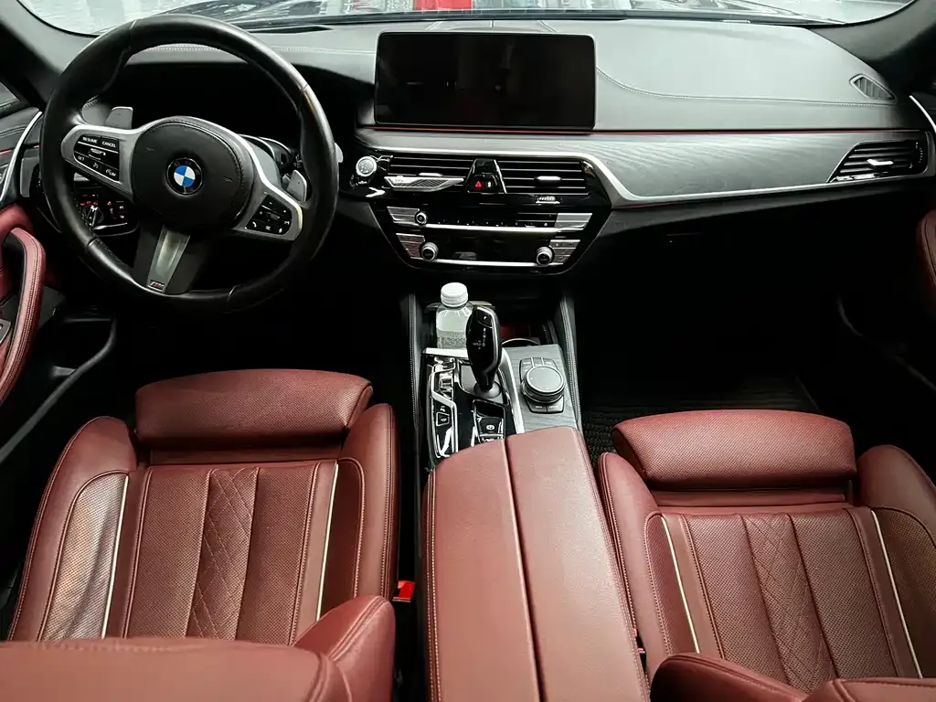 BMW 5 Series 2021 из CN, фото 7
