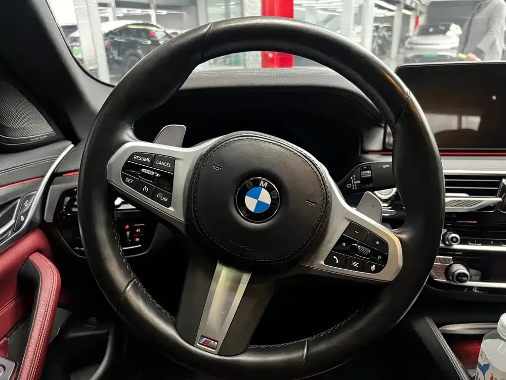 BMW 5 Series 2021 из CN, фото 8