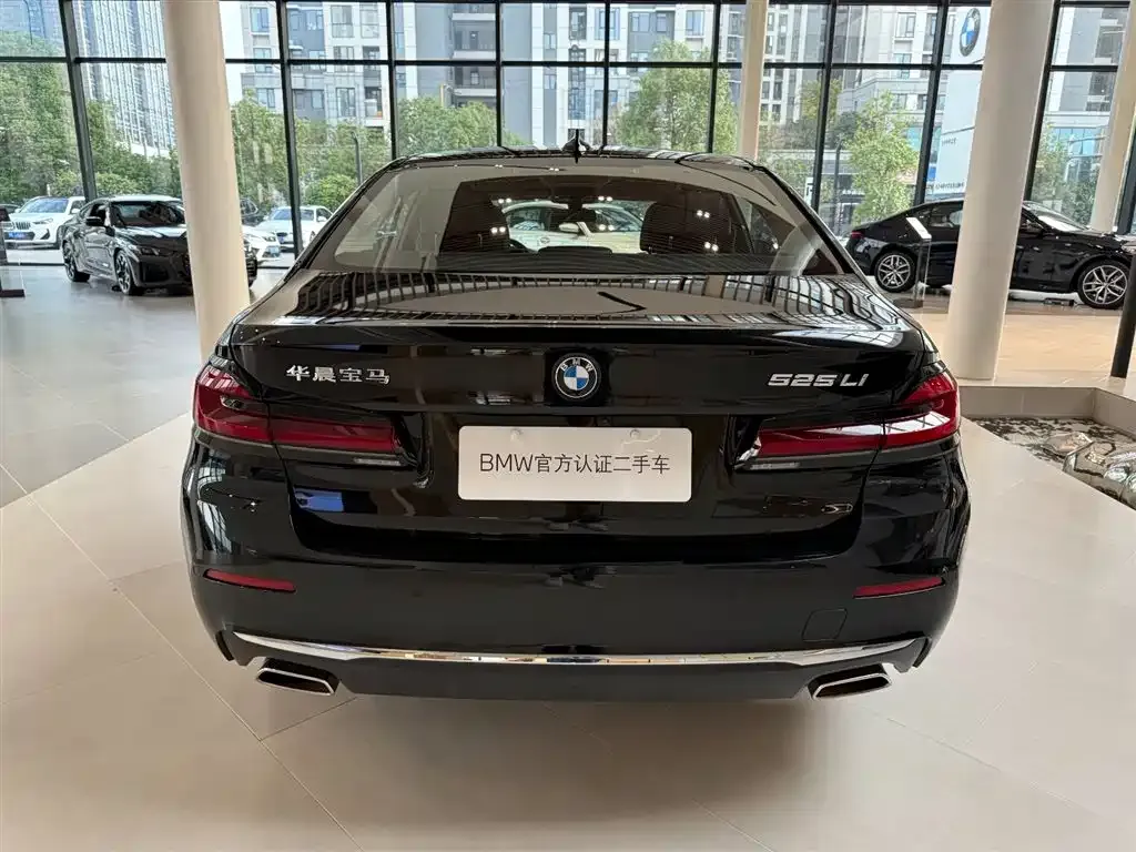 BMW 5 Series 2024 из CN, фото 2