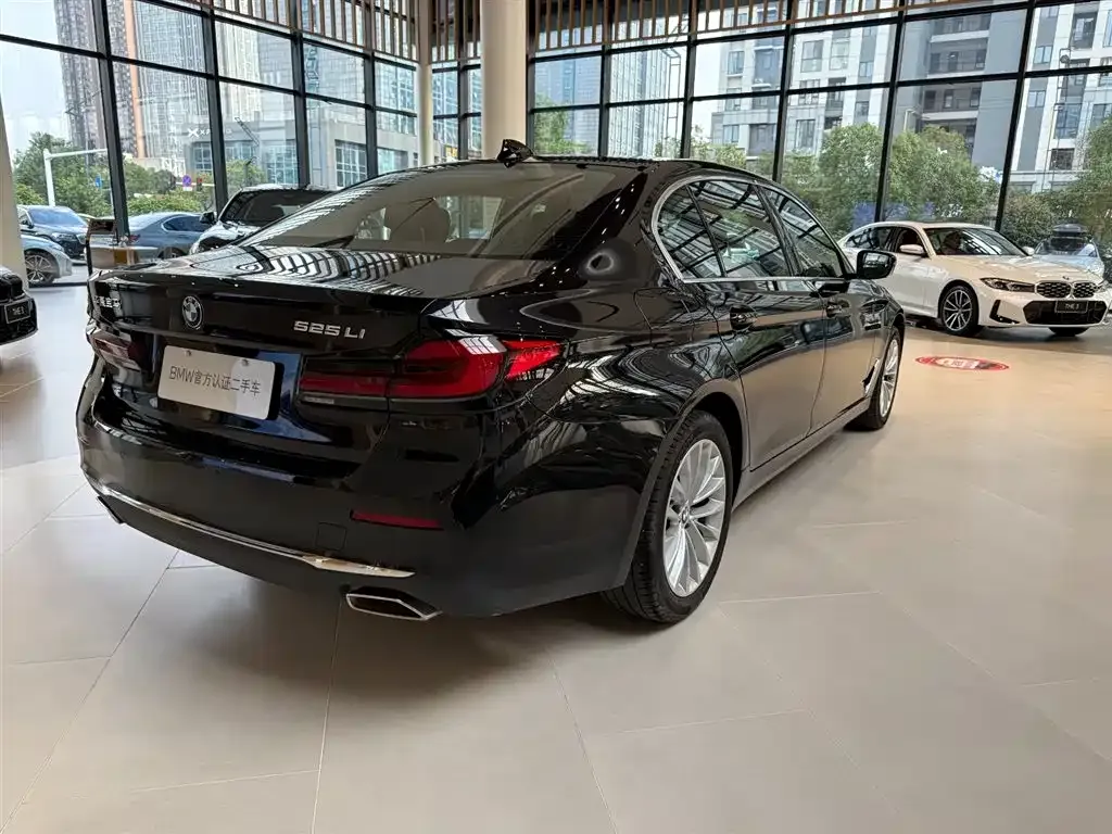 BMW 5 Series 2024 из CN, фото 7