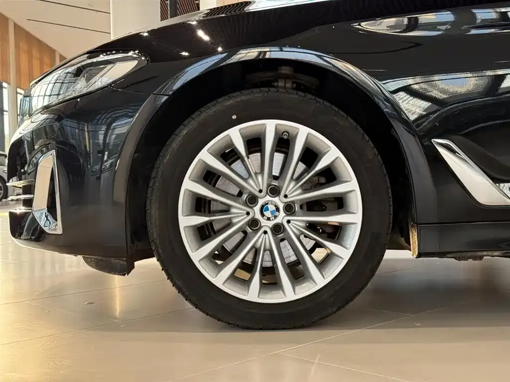 BMW 5 Series 2024 из CN, фото 8