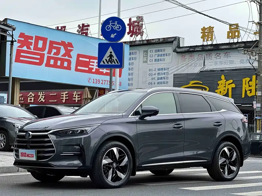 BYD Tang New Energy 2024 из CN, фото 1