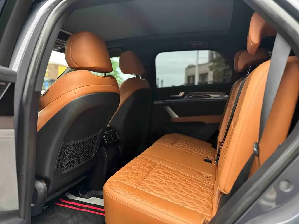 BYD Tang New Energy 2024 из CN, фото 6