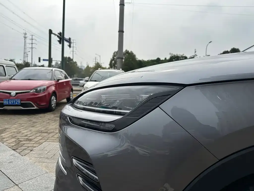BYD PLUS New Energy 2024 из CN, фото 10
