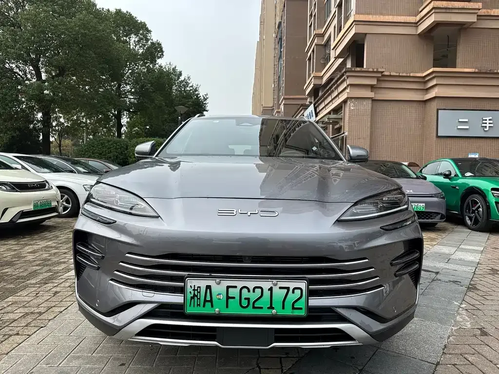 BYD PLUS New Energy 2024 из CN, фото 2