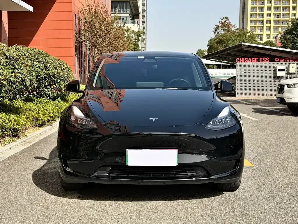 Tesla Model Y 2023 из CN, фото 2