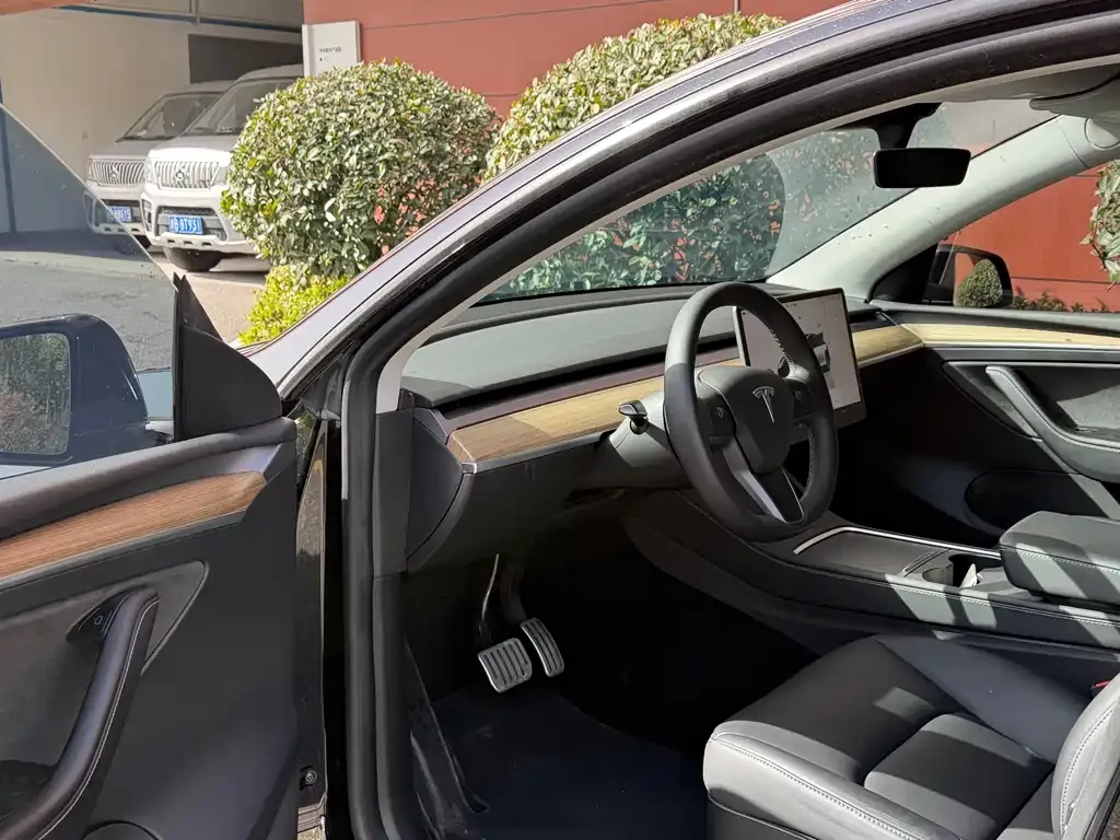 Tesla Model Y 2023 из CN, фото 8