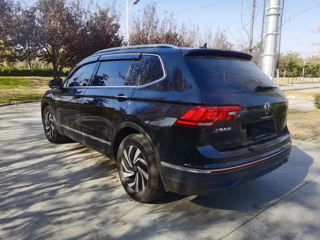 Volkswagen Tiguan L 2024 из CN, фото 4