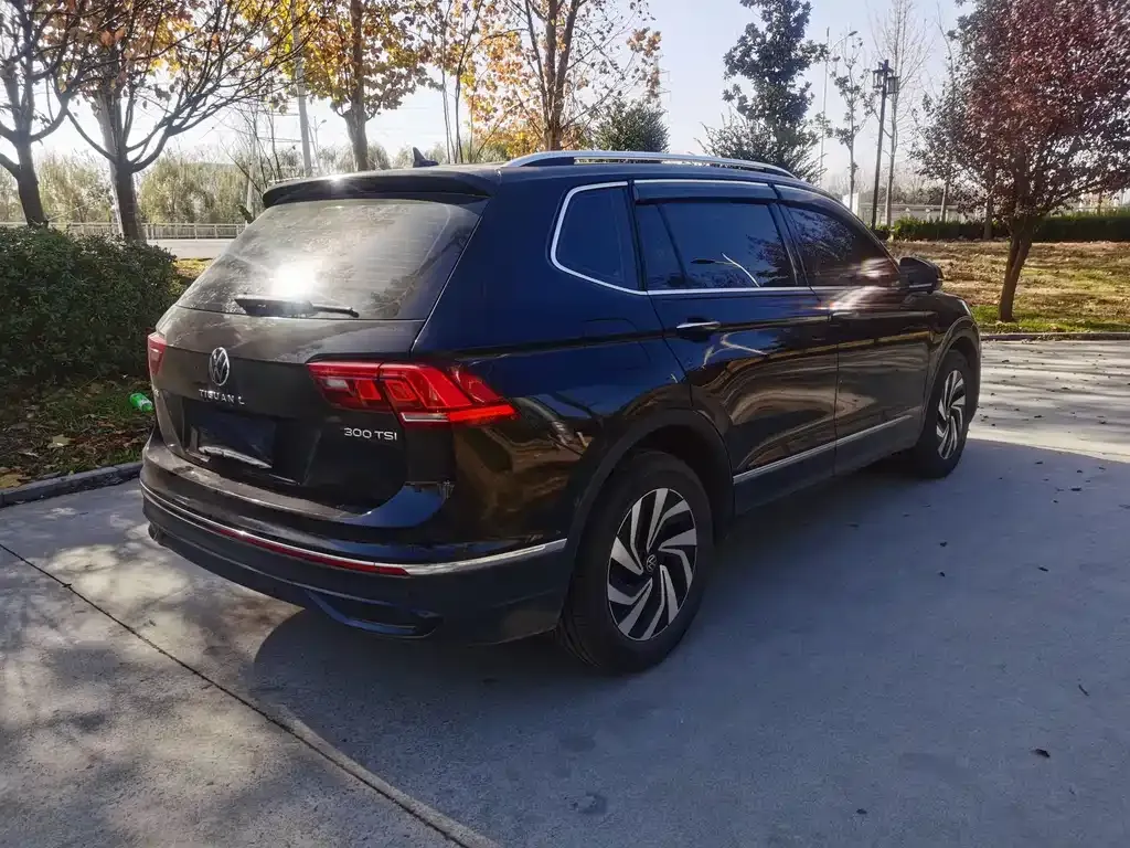 Volkswagen Tiguan L 2024 из CN, фото 5