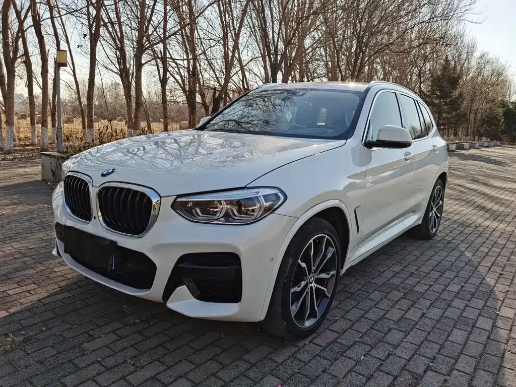 BMW X3 2021 из CN, фото 1