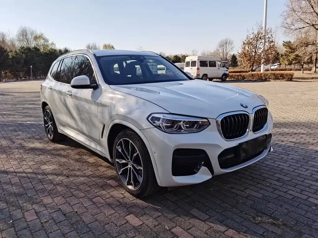 BMW X3 2021 из CN, фото 3