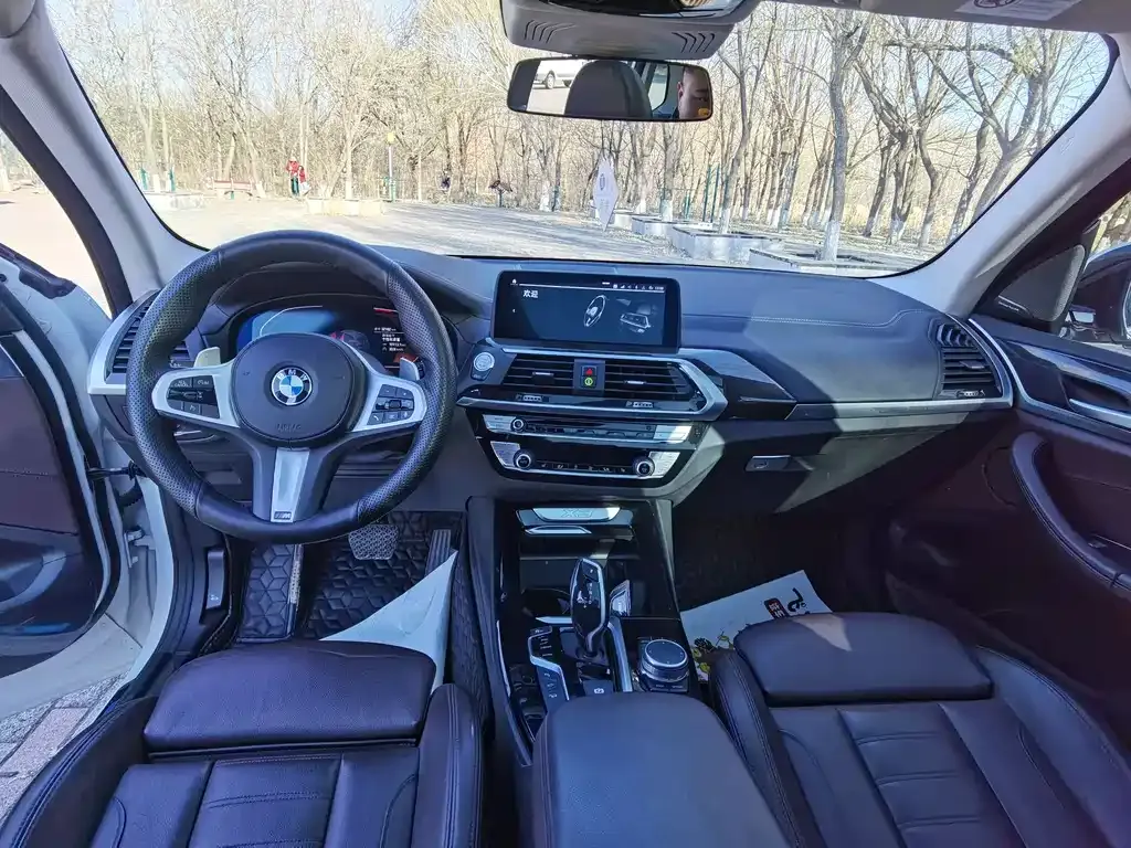 BMW X3 2021 из CN, фото 6