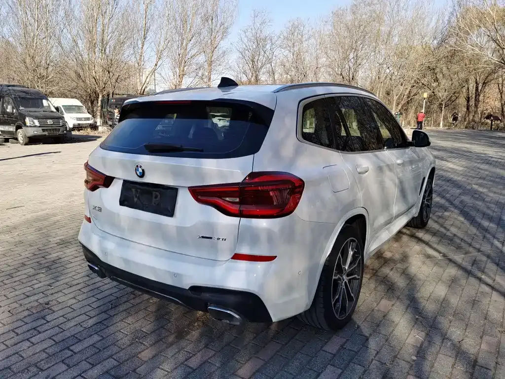 BMW X3 2021 из CN, фото 9