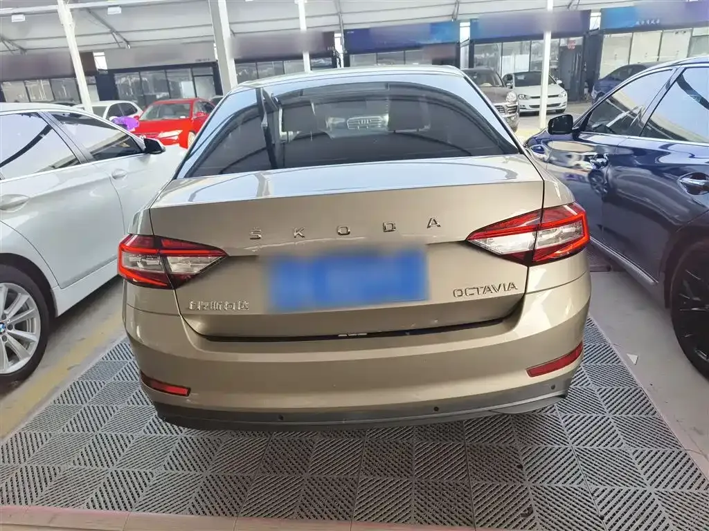 Skoda Octavia 2021 из CN, фото 6