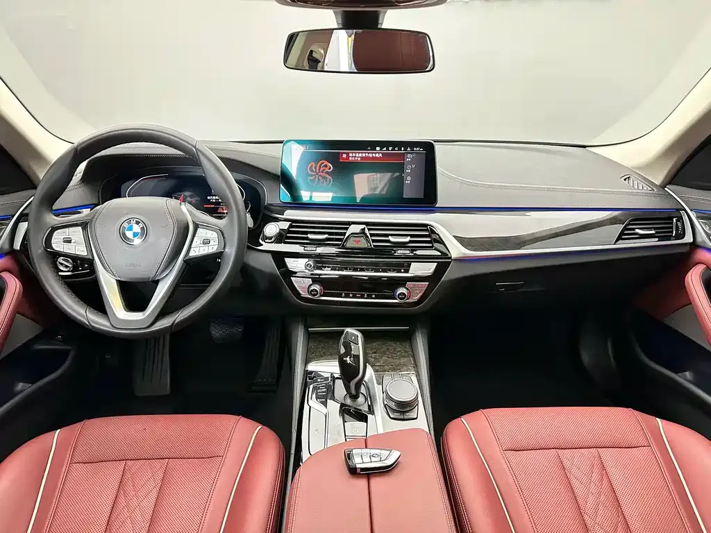 BMW 5 Series 2024 из CN, фото 4