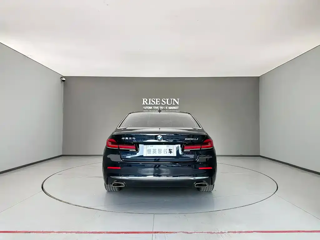 BMW 5 Series 2024 из CN, фото 8