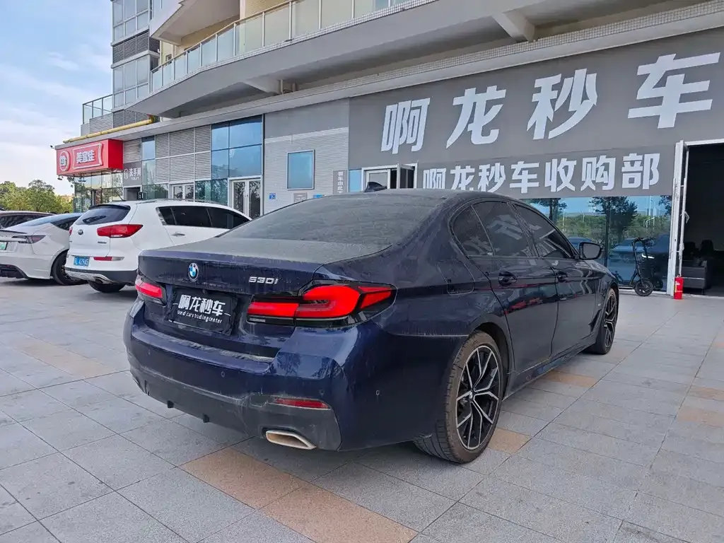 BMW 5 Series (Import) 2022 из CN, фото 7