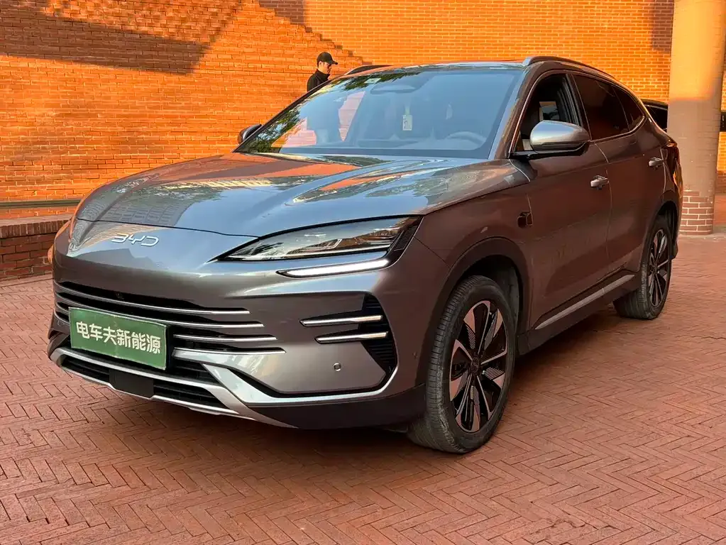 BYD PLUS New Energy 2025 из CN, фото 1