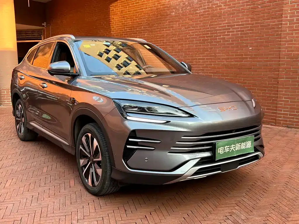 BYD PLUS New Energy 2025 из CN, фото 2