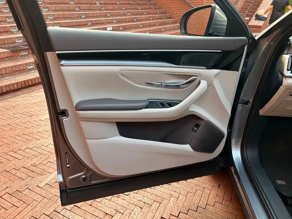 BYD PLUS New Energy 2025 из CN, фото 8
