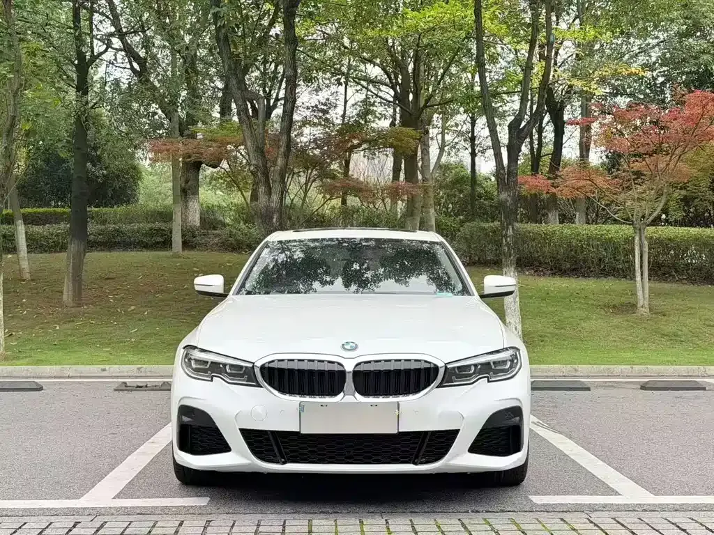 BMW 3 Series 2022 из CN, фото 4