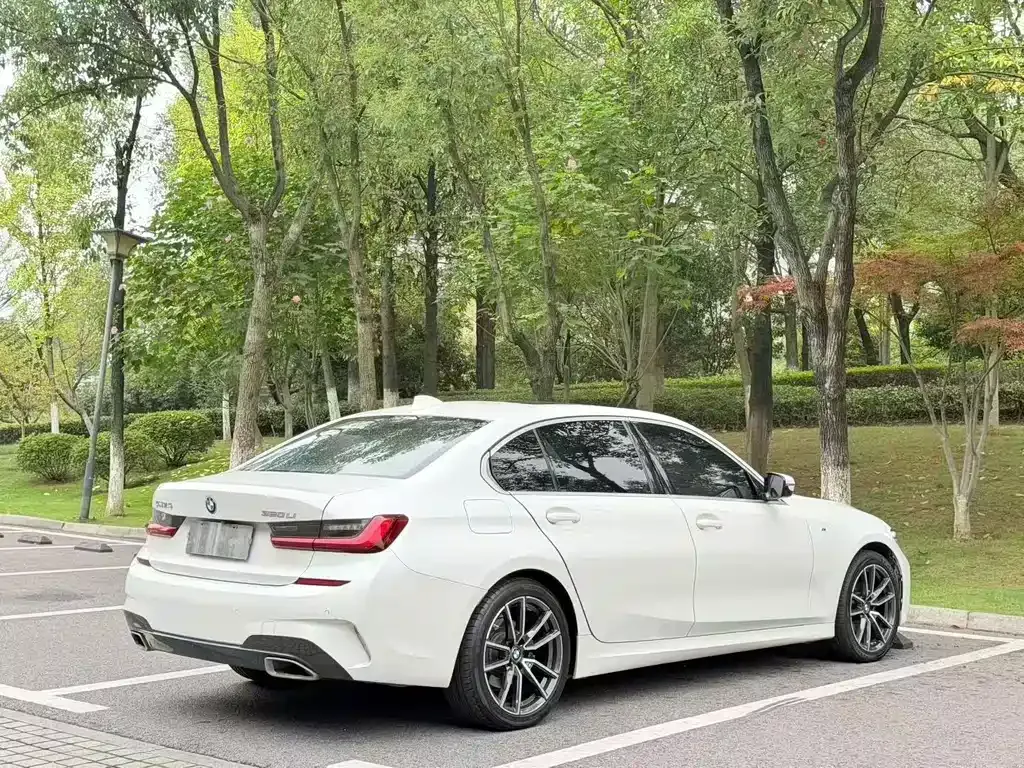 BMW 3 Series 2022 из CN, фото 9
