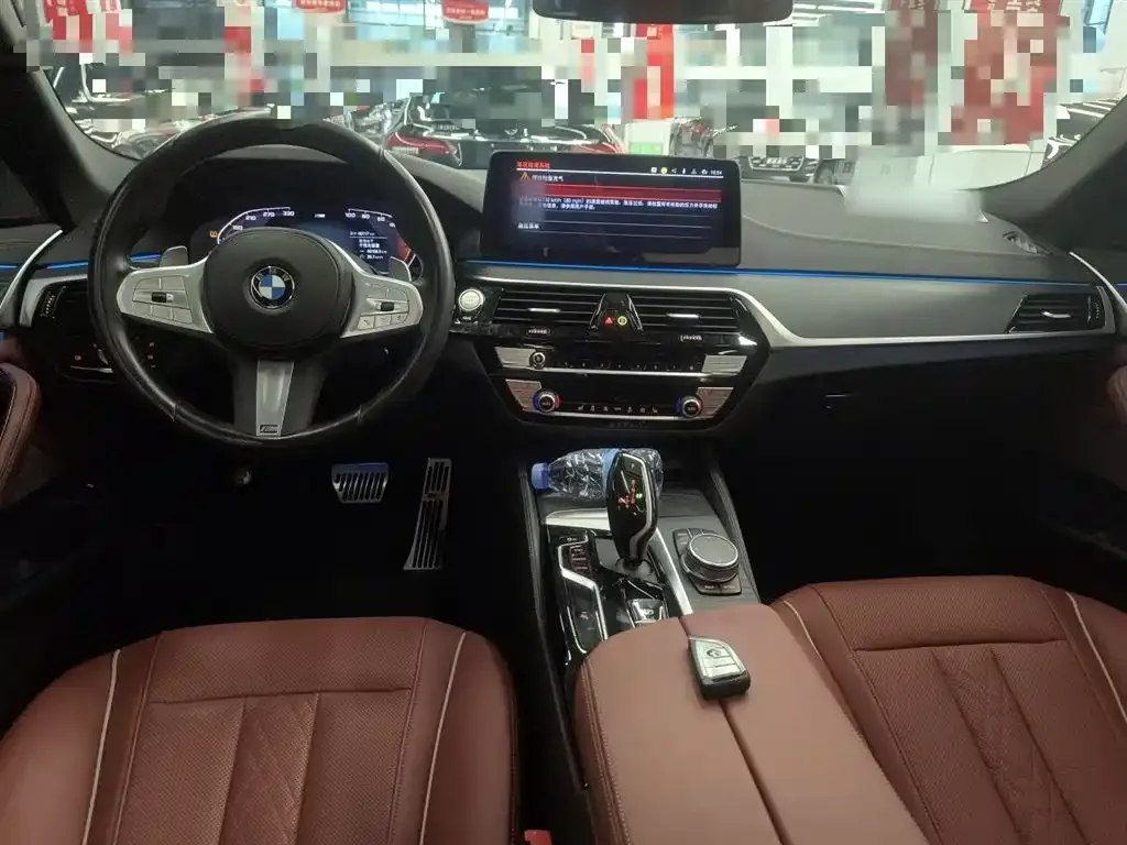 BMW 5 Series 2023 из CN, фото 10