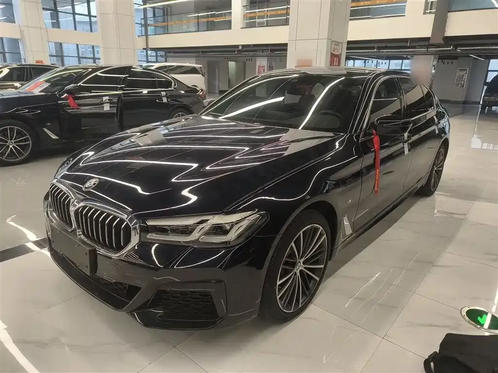 BMW 5 Series 2023 из CN, фото 2