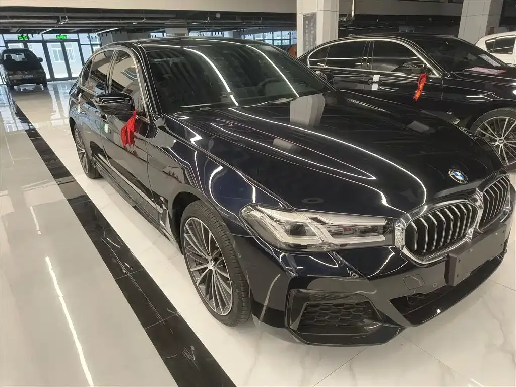 BMW 5 Series 2023 из CN, фото 4