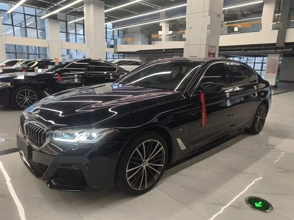 BMW 5 Series 2023 из CN, фото 5