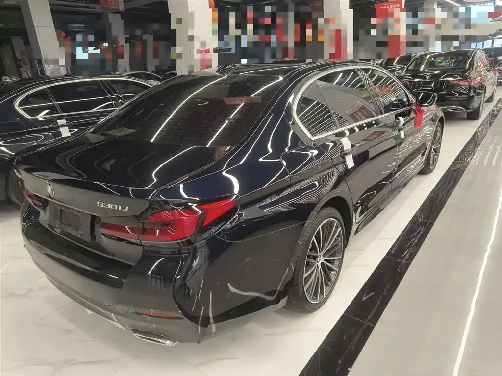 BMW 5 Series 2023 из CN, фото 7