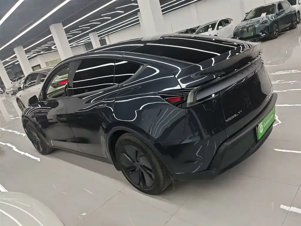 Tesla Model Y 2025 из CN, фото 5