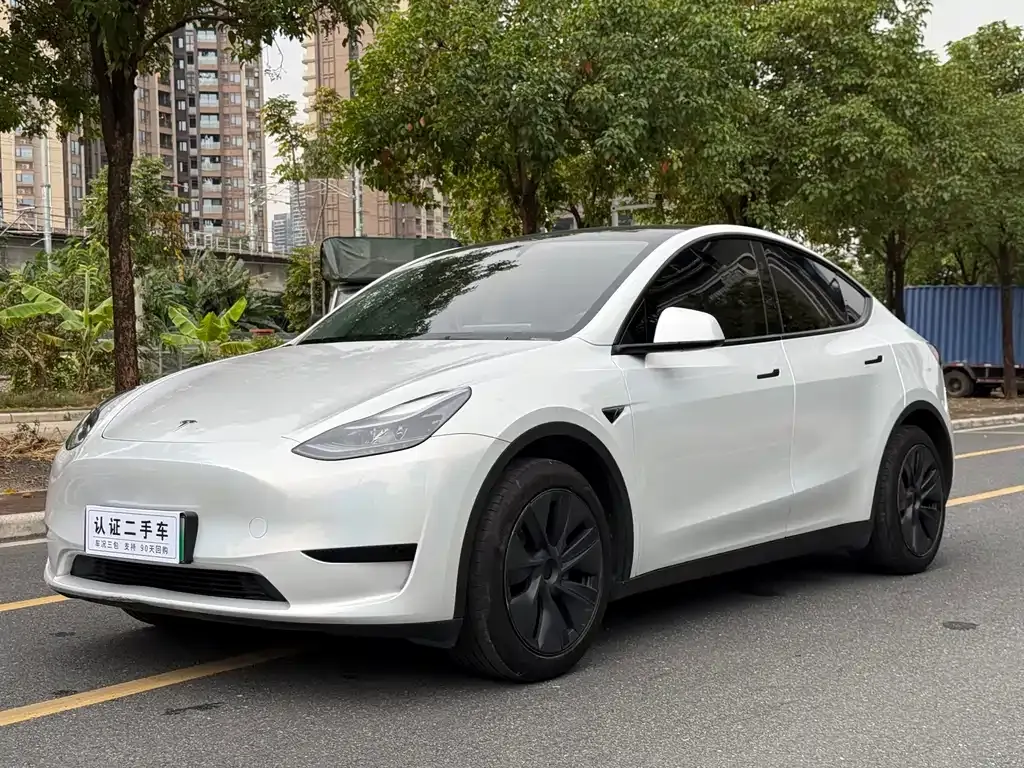 Tesla Model Y 2024 из CN, фото 1