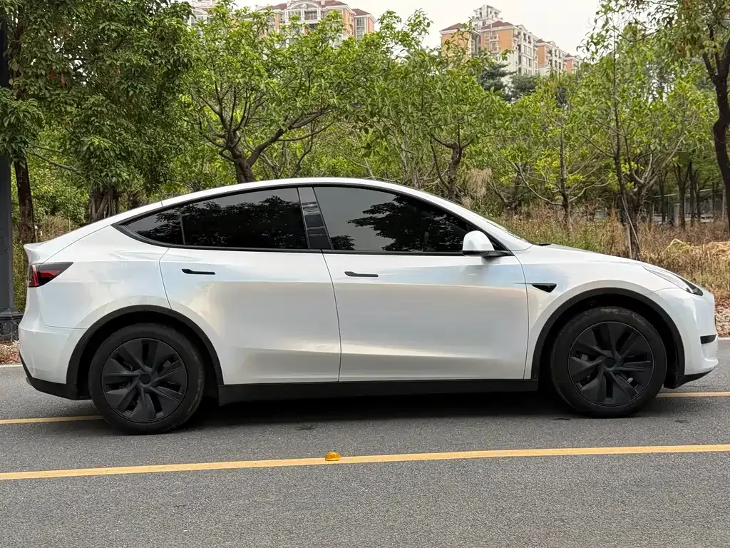 Tesla Model Y 2024 из CN, фото 10