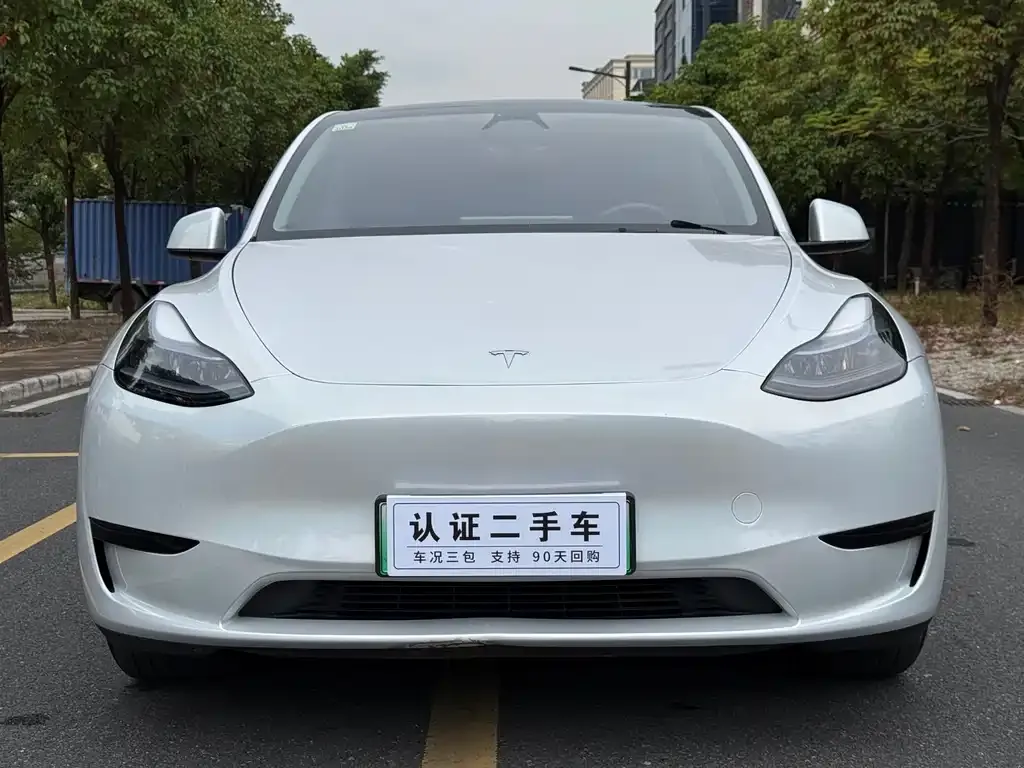 Tesla Model Y 2024 из CN, фото 2