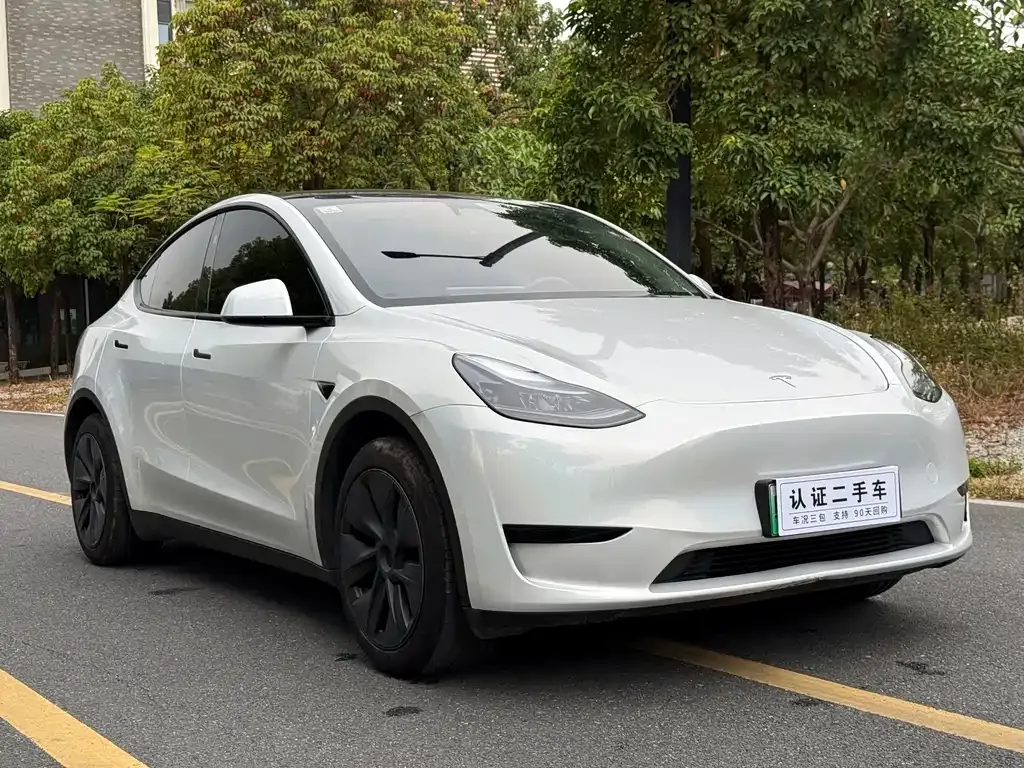 Tesla Model Y 2024 из CN, фото 3