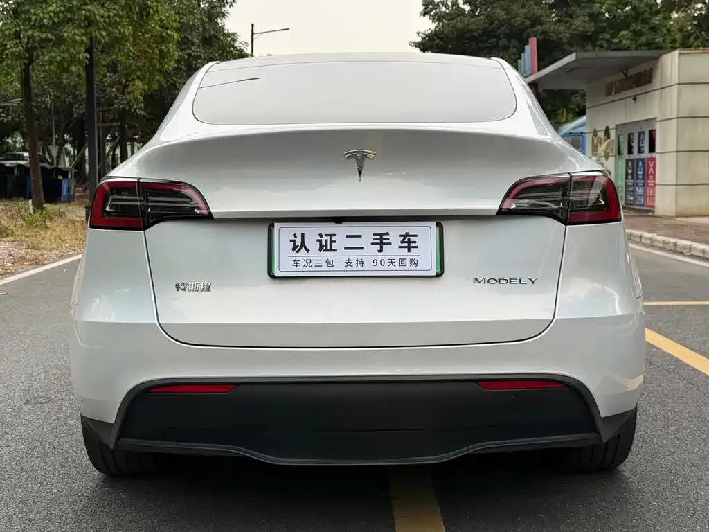 Tesla Model Y 2024 из CN, фото 8