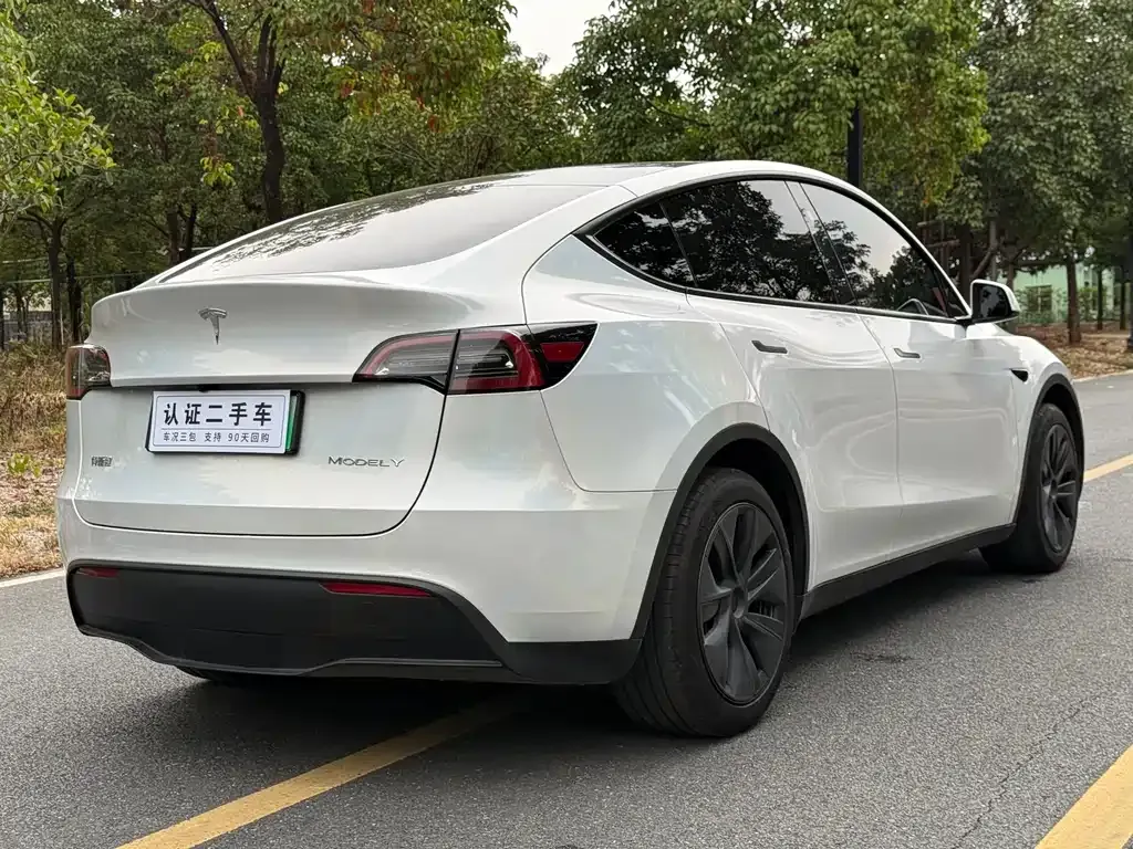 Tesla Model Y 2024 из CN, фото 9