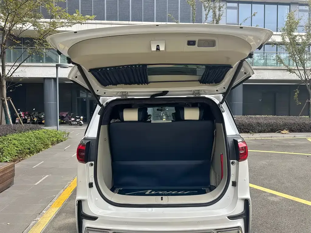 Buick GL8 2021 из CN, фото 9