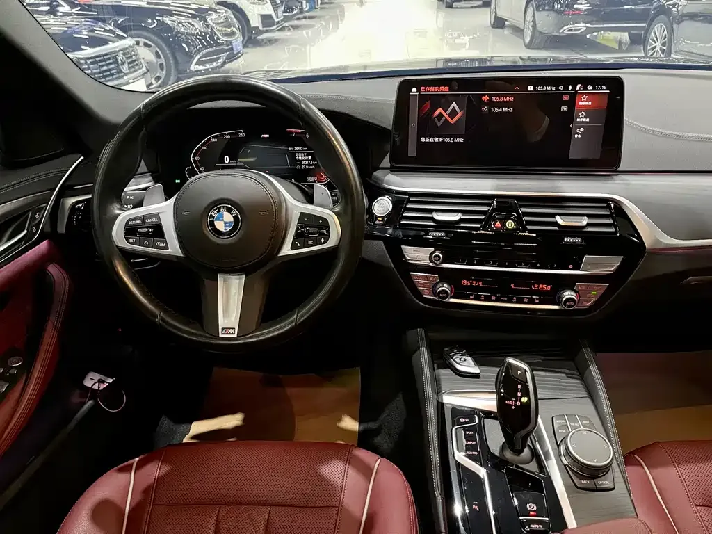 BMW 5 Series 2022 из CN, фото 10