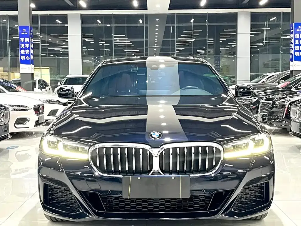 BMW 5 Series 2022 из CN, фото 2