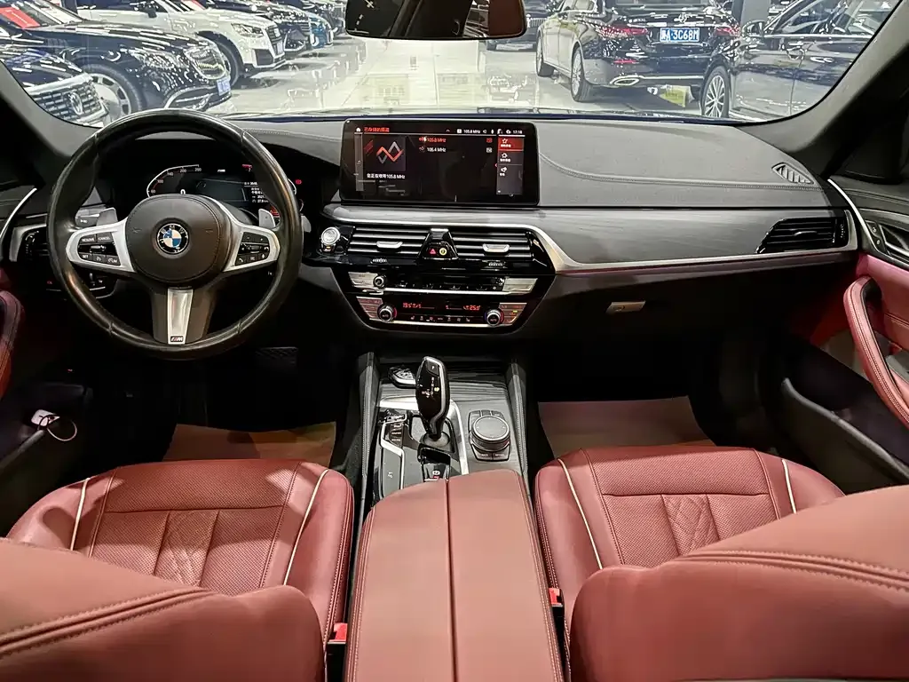 BMW 5 Series 2022 из CN, фото 5